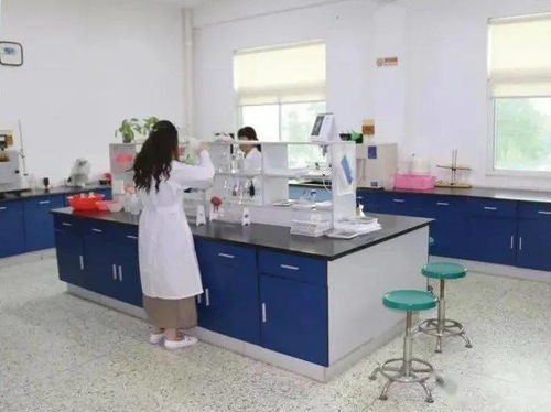 環(huán)保設(shè)施云開(kāi)放丨云游潮州市第一污水處理廠 揭秘污水變清流環(huán)保咨詢(xún)服務(wù)